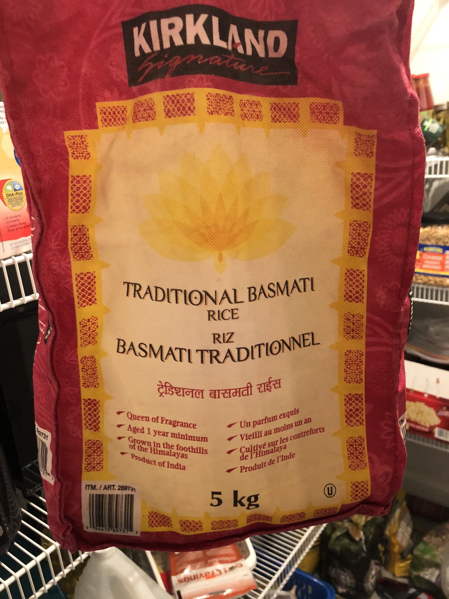 FYzlY4OI.jpg large.jpg